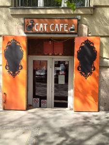 cat2